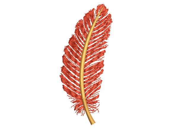 A Warm Review of the Red Decorative Feather Embroidery Design